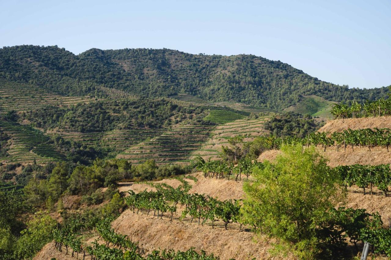 Ora Hotel Priorat Torroja Esterno foto